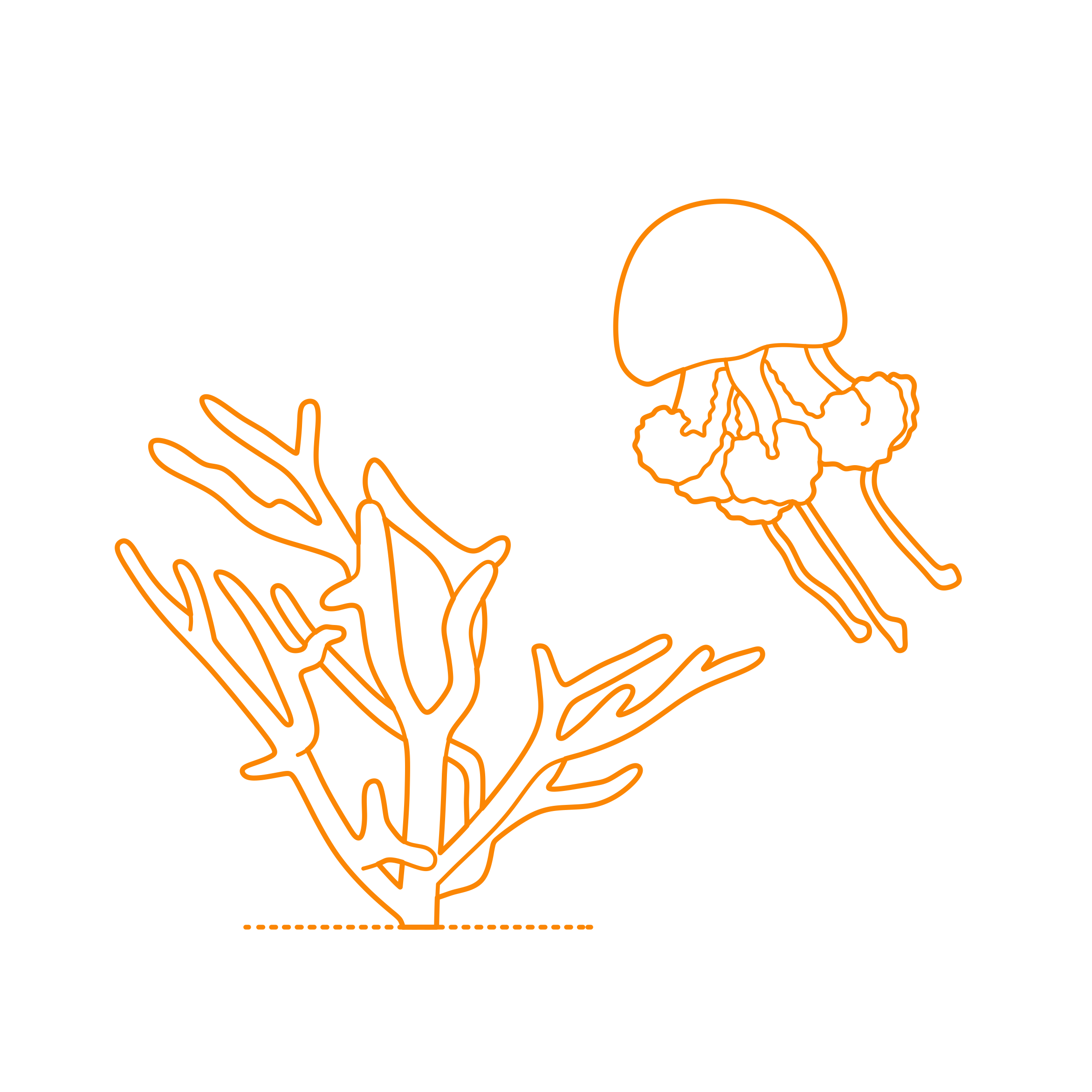 Animals Cnidarians Craft Design Svg File Free Vectors